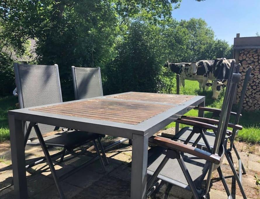 فيلا Statige Boerderijwoning Met Vrij Uitzicht En Tuin Hoogzand المظهر الخارجي الصورة
